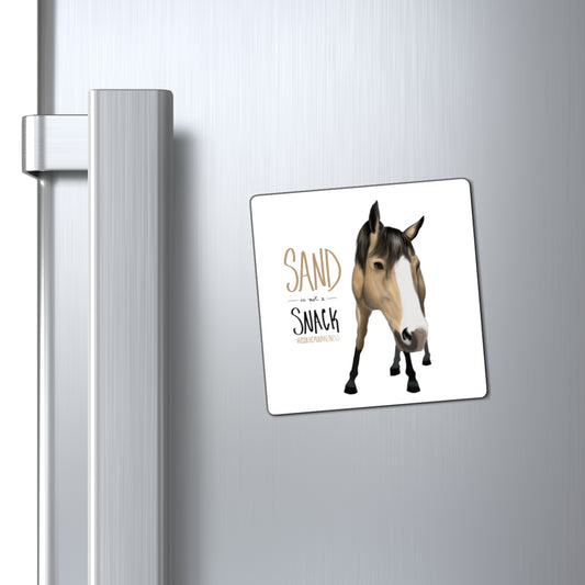 Colic Awareness Magnet